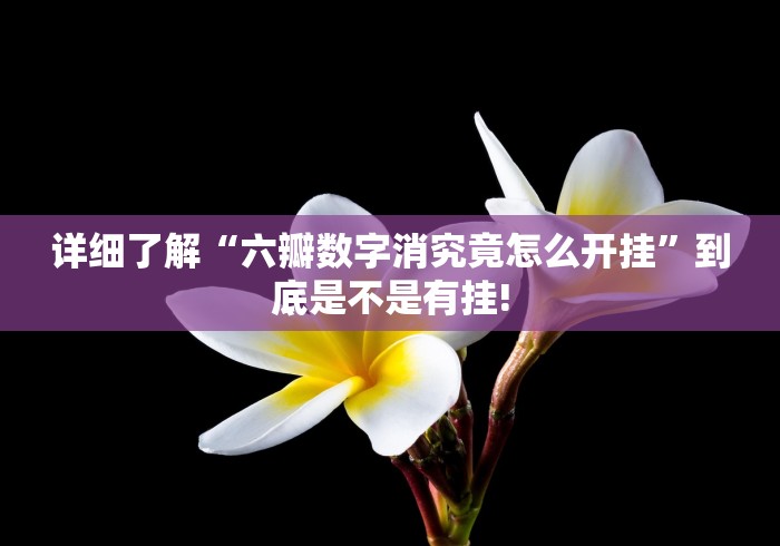 详细了解“六瓣数字消究竟怎么开挂”到底是不是有挂!
