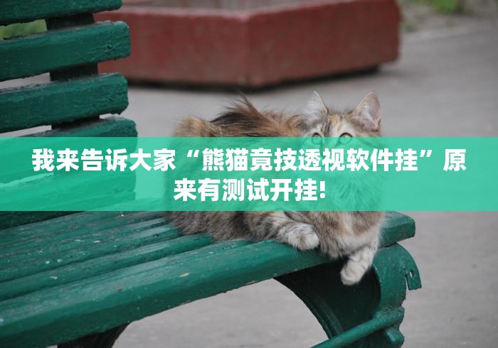 我来告诉大家“熊猫竟技透视软件挂”原来有测试开挂!