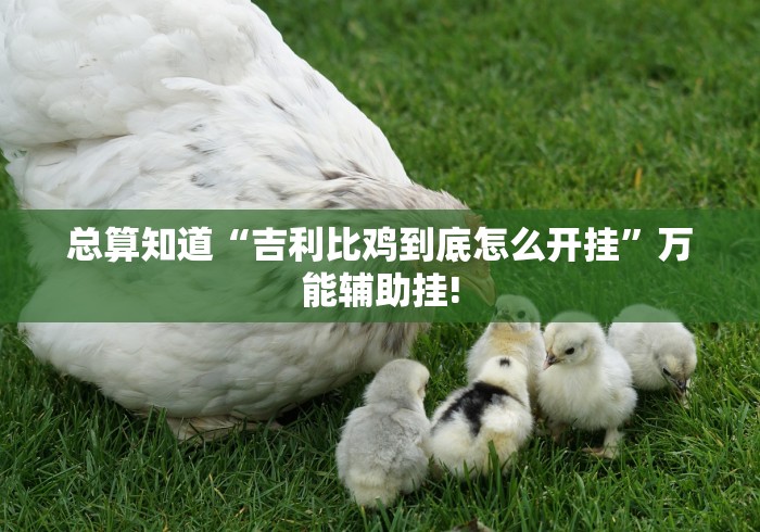 总算知道“吉利比鸡到底怎么开挂”万能辅助挂!