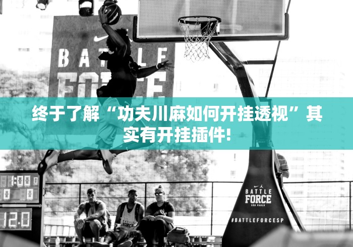 终于了解“功夫川麻如何开挂透视”其实有开挂插件!