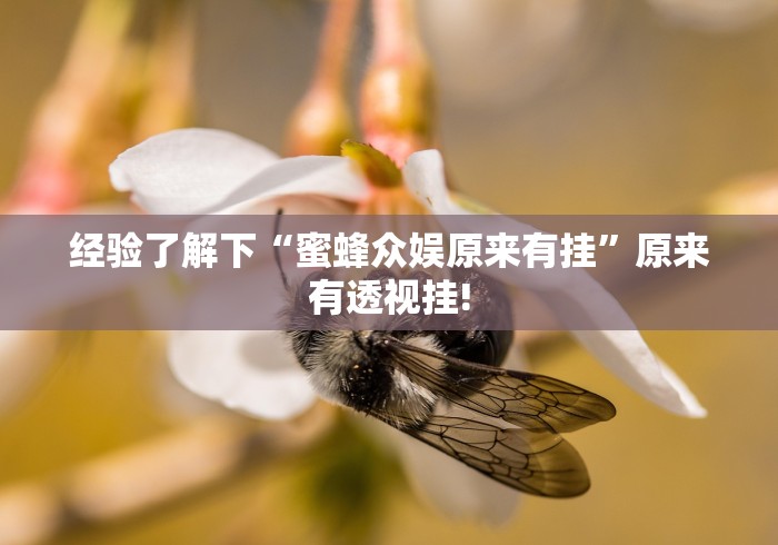 经验了解下“蜜蜂众娱原来有挂”原来有透视挂!