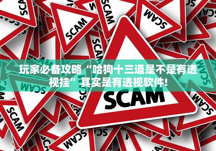 玩家必备攻略“哈狗十三道是不是有透视挂”其实是有透视软件!