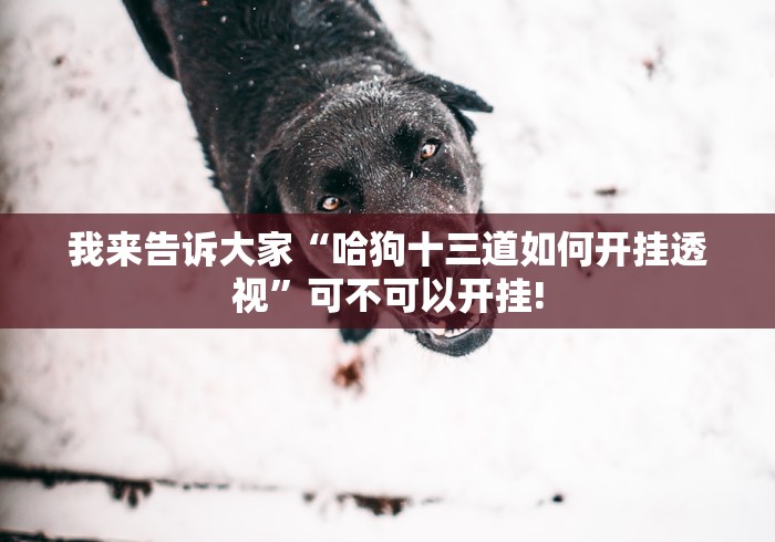 我来告诉大家“哈狗十三道如何开挂透视”可不可以开挂!