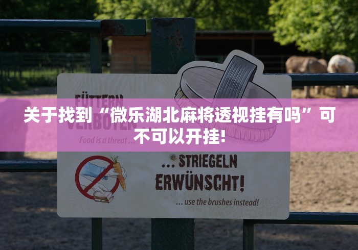 关于找到“微乐湖北麻将透视挂有吗”可不可以开挂!