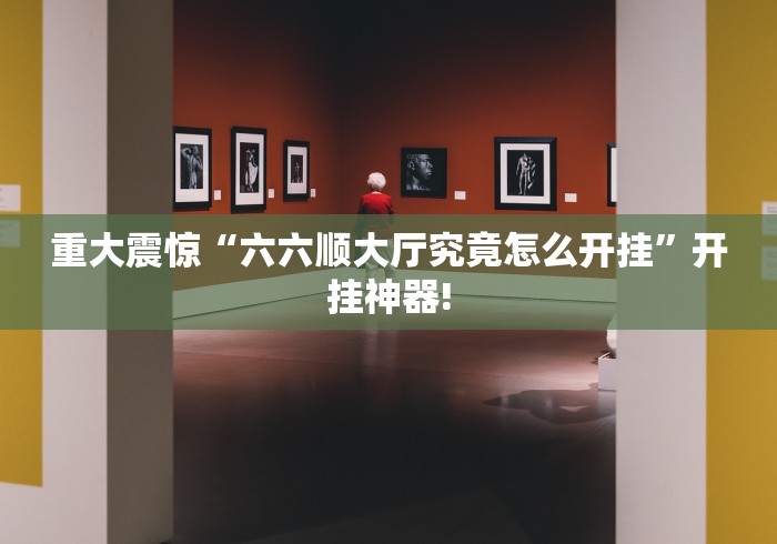 重大震惊“六六顺大厅究竟怎么开挂”开挂神器!