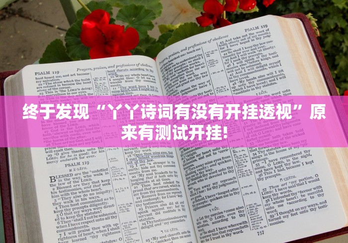 终于发现“丫丫诗词有没有开挂透视”原来有测试开挂! 终于发现“丫丫诗词有没有开挂透视”原来有测试开挂!