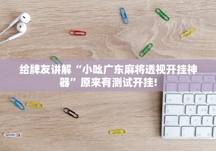 给牌友讲解“小吆广东麻将透视开挂神器”原来有测试开挂!
