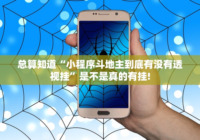 总算知道“小程序斗地主到底有没有透视挂”是不是真的有挂!