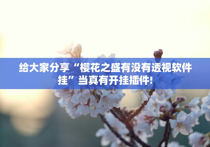明白了关于“陕麻圈透视挂神器”原来有透视挂!