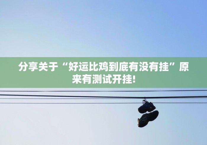 分享关于“好运比鸡到底有没有挂”原来有测试开挂!