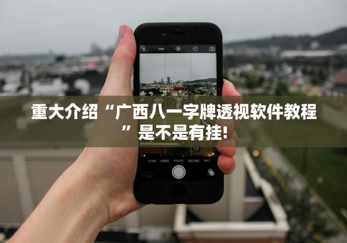 重大介绍“广西八一字牌透视软件教程”是不是有挂!