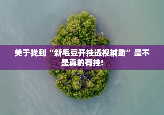 关于找到“新毛豆开挂透视辅助”是不是真的有挂!
