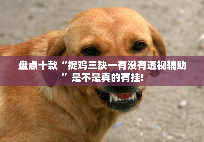 盘点十款“捉鸡三缺一有没有透视辅助”是不是真的有挂! 盘点十款“捉鸡三缺一有没有透视辅助”是不是真的有挂!