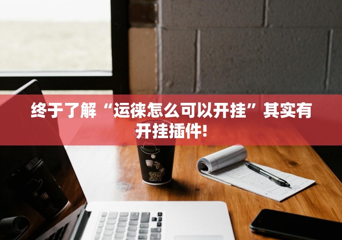 终于了解“运徕怎么可以开挂”其实有开挂插件!