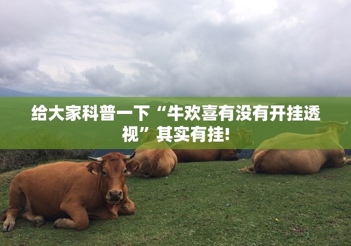 给大家科普一下“牛欢喜有没有开挂透视”其实有挂!