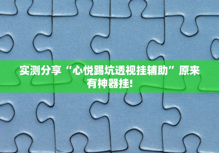 实测分享“心悦踢坑透视挂辅助”原来有神器挂!