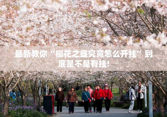 最新教你“樱花之盛究竟怎么开挂”到底是不是有挂!