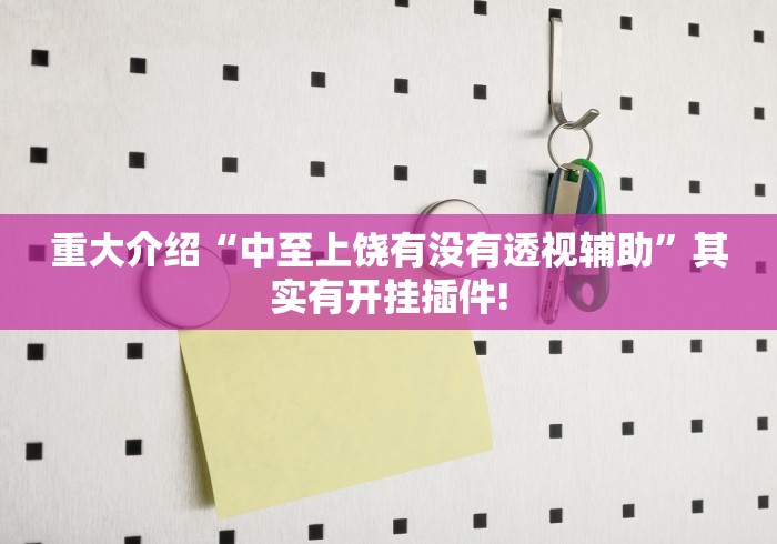 重大介绍“中至上饶有没有透视辅助”其实有开挂插件!