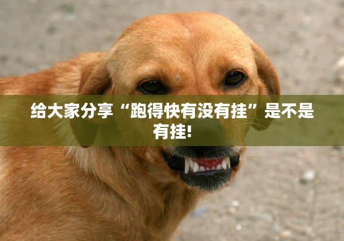 给大家分享“跑得快有没有挂”是不是有挂!