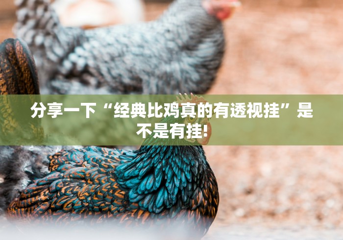 分享一下“经典比鸡真的有透视挂”是不是有挂!