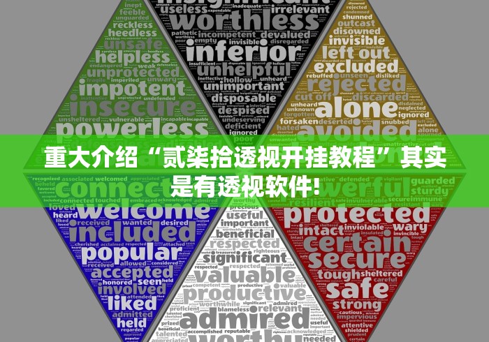 重大介绍“贰柒拾透视开挂教程”其实是有透视软件!