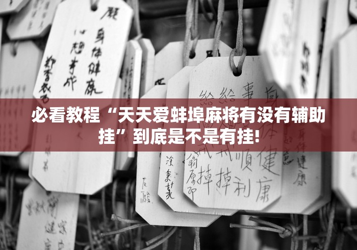 必看教程“天天爱蚌埠麻将有没有辅助挂”到底是不是有挂!