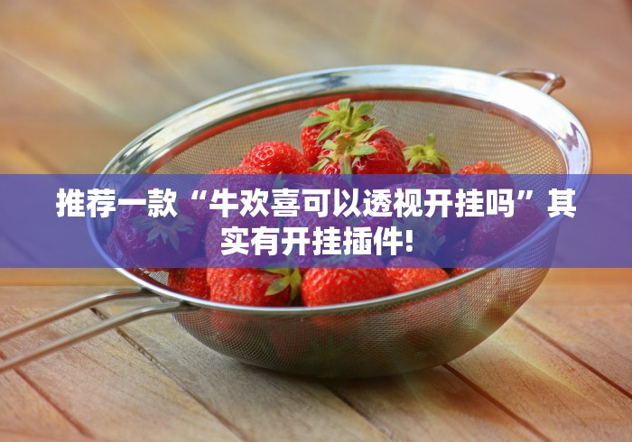 推荐一款“牛欢喜可以透视开挂吗”其实有开挂插件!