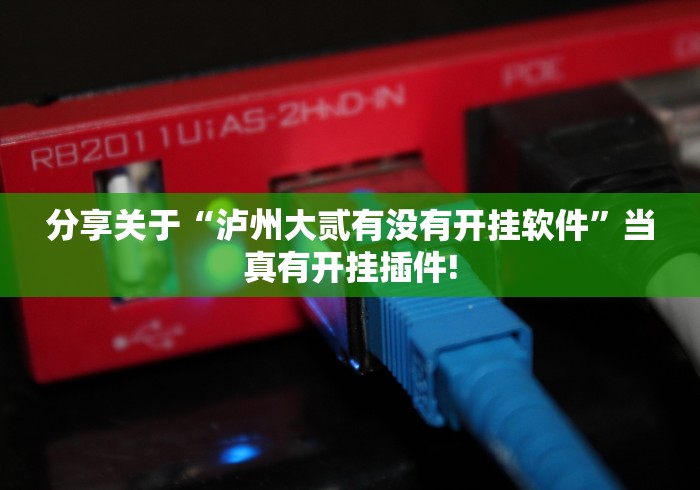 分享关于“泸州大贰有没有开挂软件”当真有开挂插件!